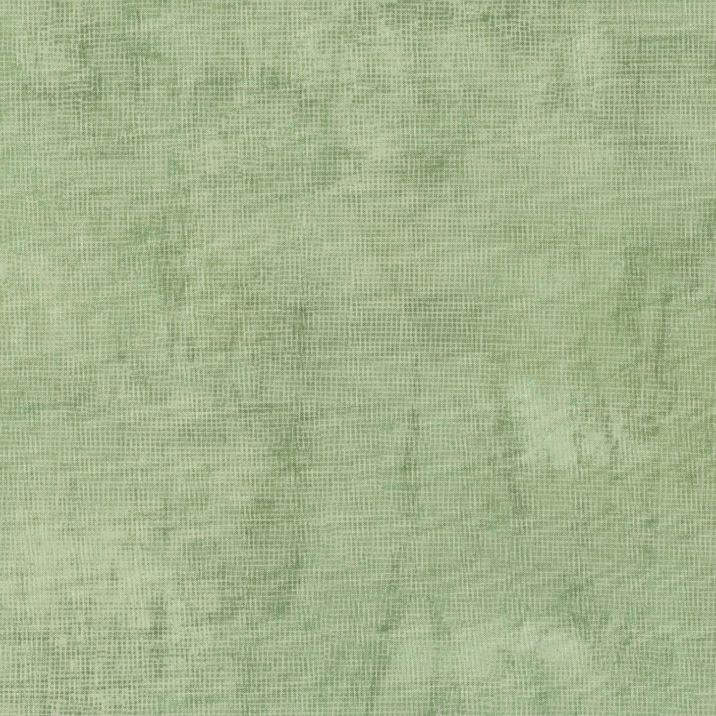 Celery (PRE-ORDER SHIPPING NOVEMBER)