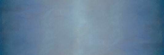 SKY WIDE: Blue Bird (PRE-ORDER SHIPPING NOVEMBER)