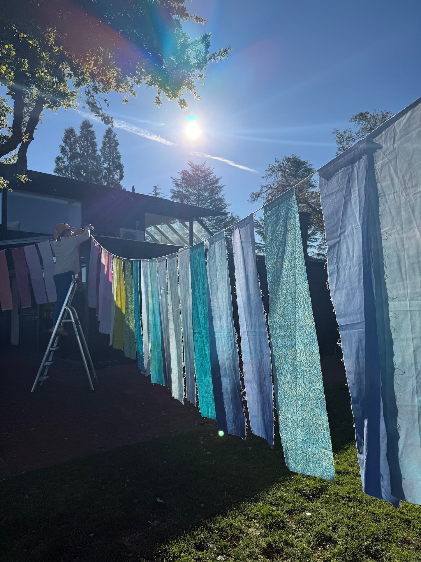 Backyard Banner Bundle