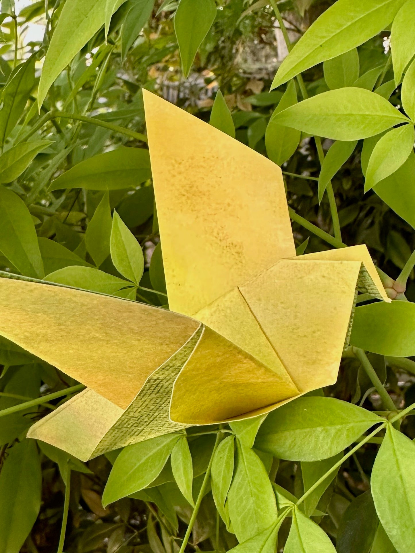 Ombré Sky - 390 Origami Sheets