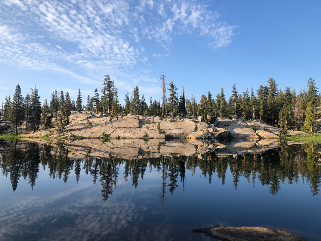 Summer Time Reflection
