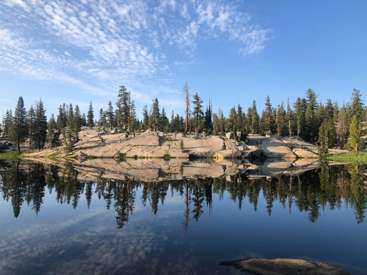 Summer Time Reflection