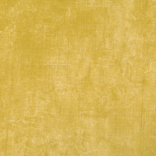 Dijon (PRE-ORDER SHIPPING NOVEMBER)