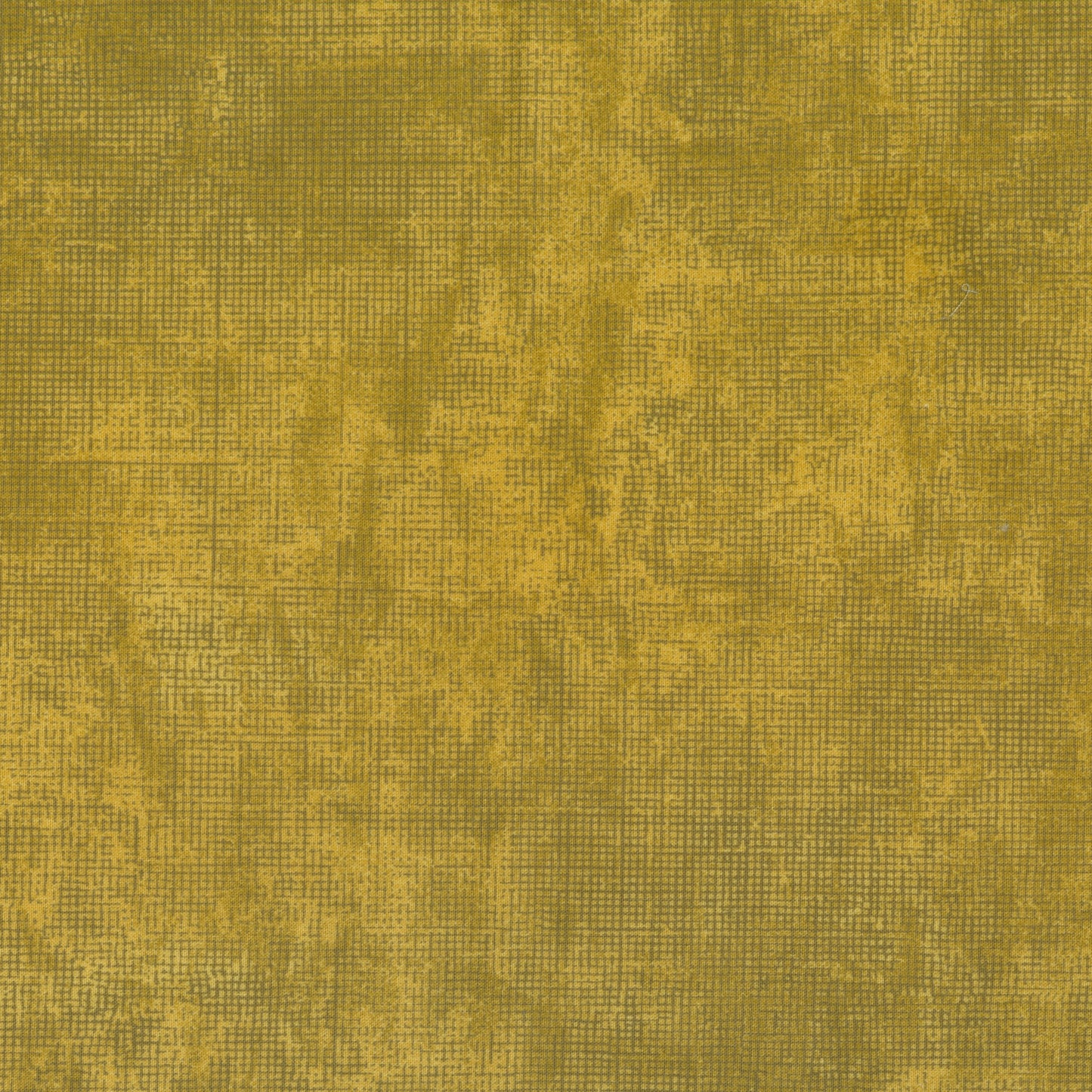 Olive Oil (PRE-ORDER SHIPPING NOVEMBER)