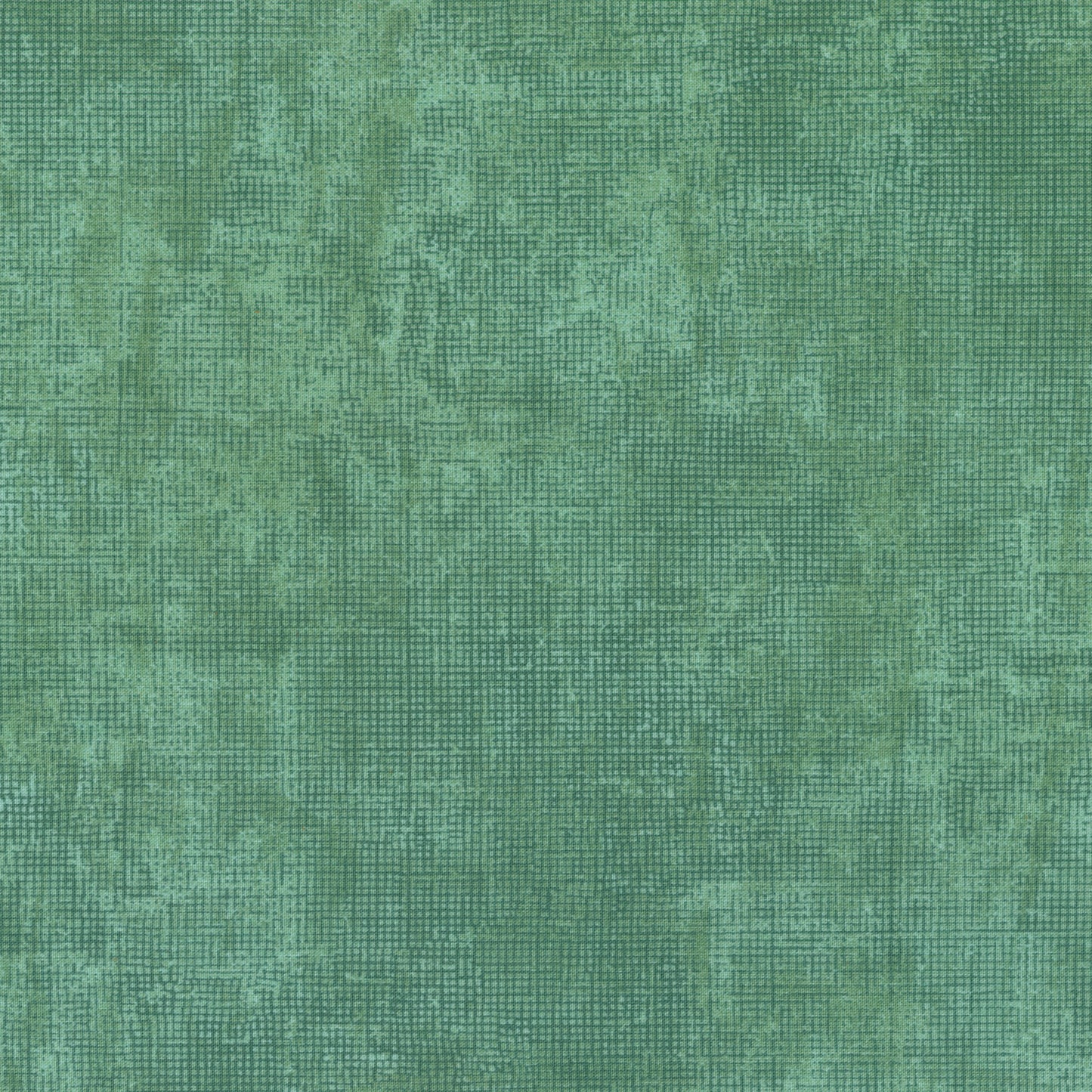 Bay Leaf (PRE-ORDER SHIPPING NOVEMBER)