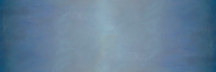 SKY WIDE: Blue Bird (PRE-ORDER SHIPPING NOVEMBER)