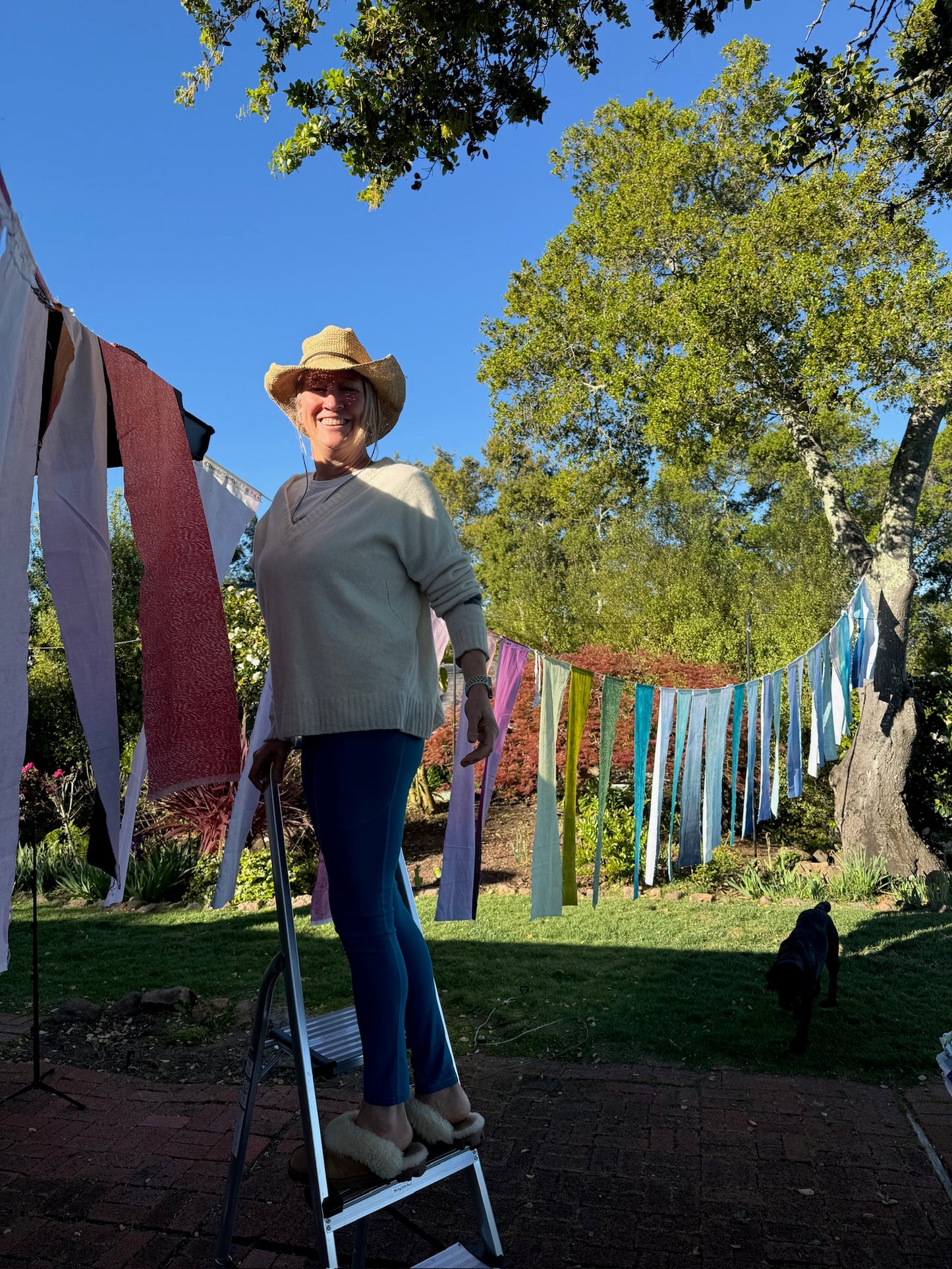 Backyard Banner Bundle