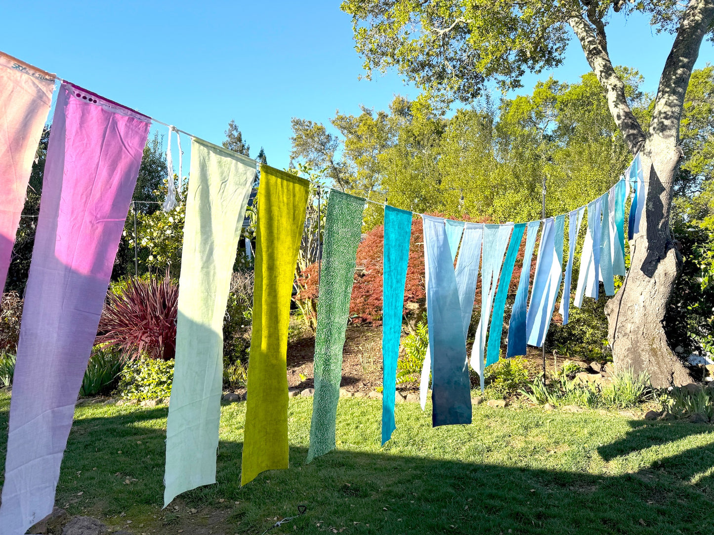 Backyard Banner Bundle