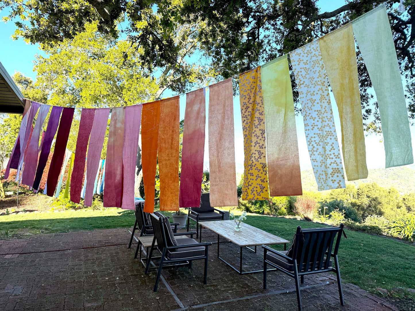 Backyard Banner Bundle
