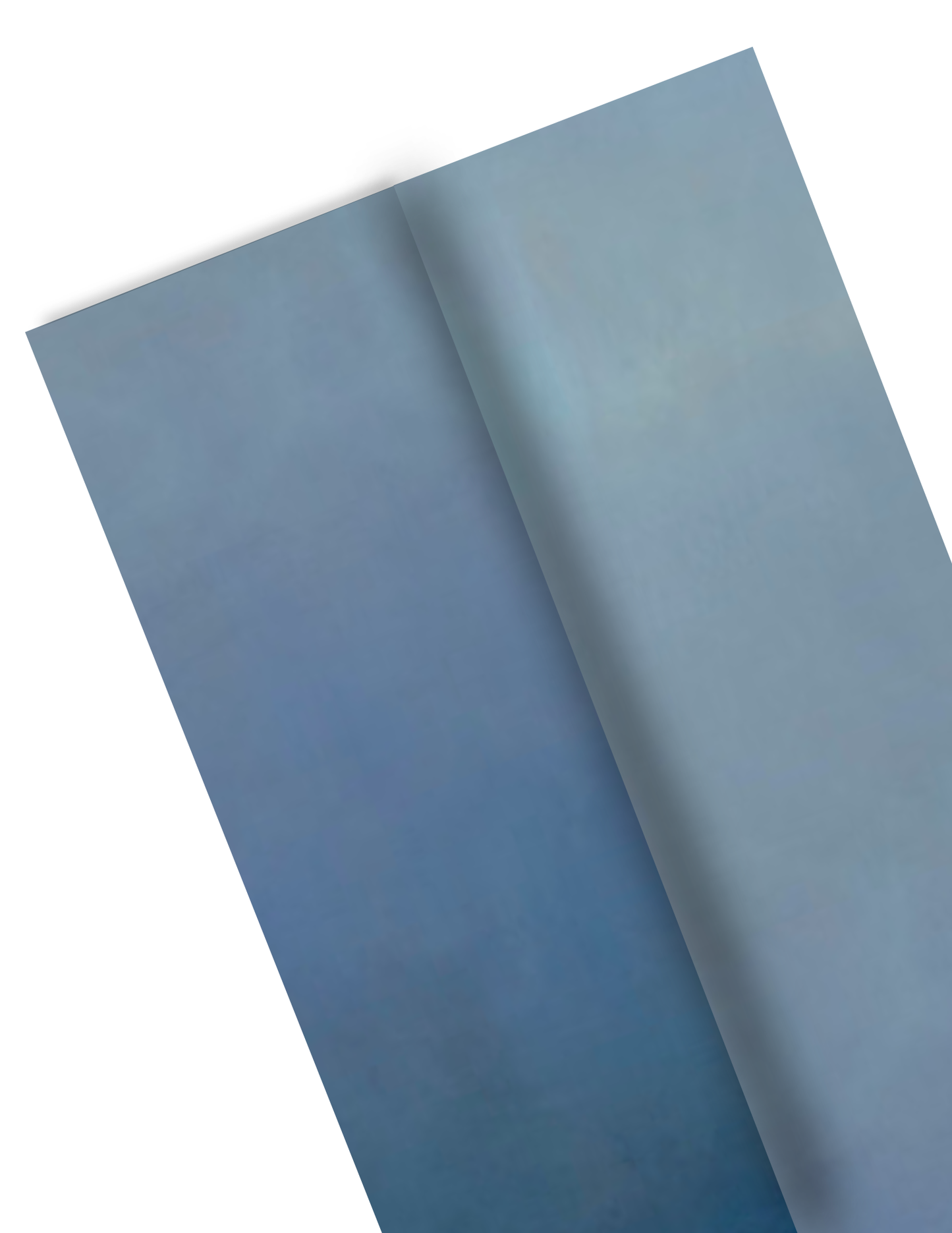 SKY WIDE: Blue Bird (PRE-ORDER SHIPPING NOVEMBER)
