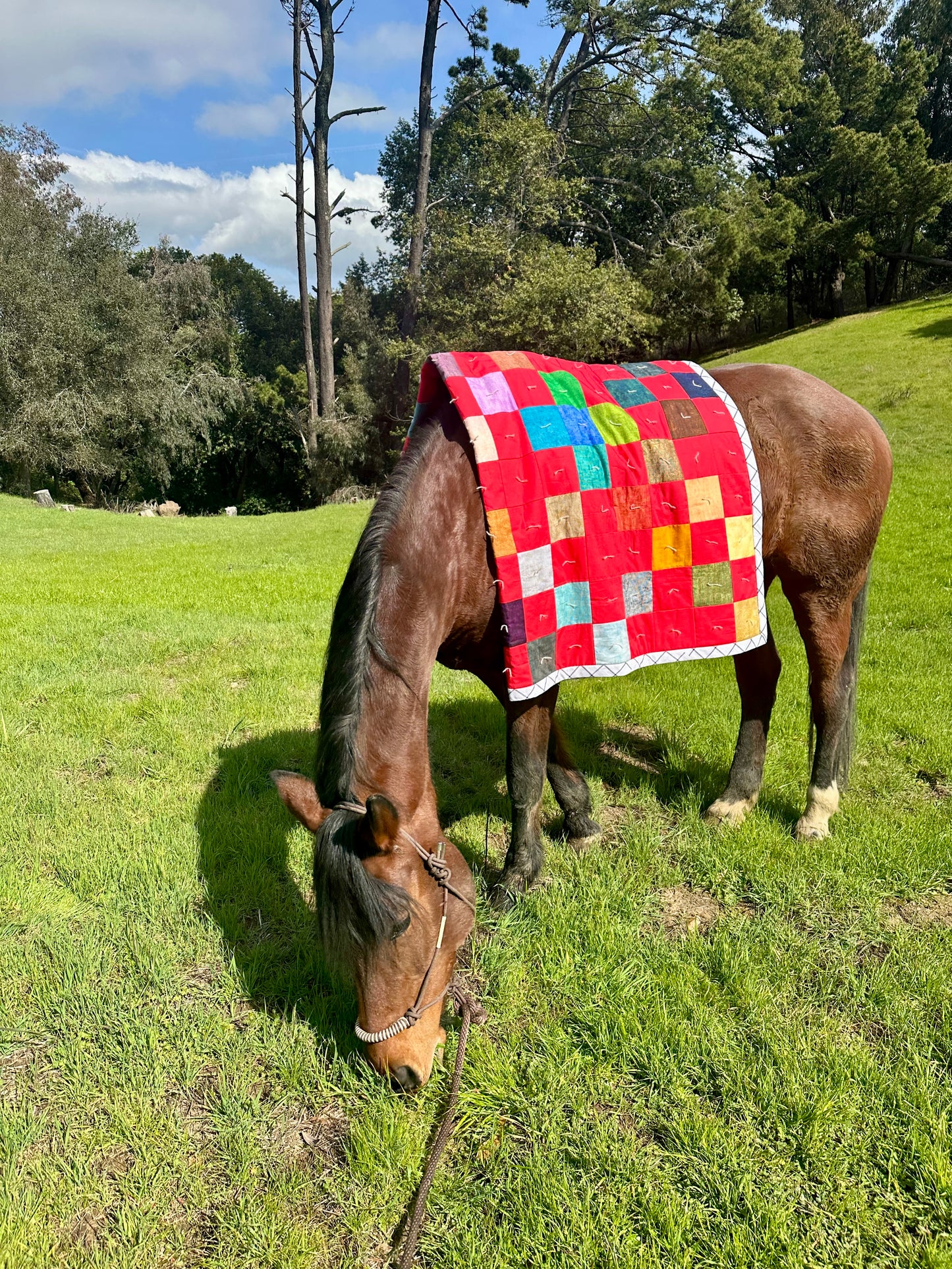 Color Crush Quilt Pattern: FREE PDF DOWNLOAD